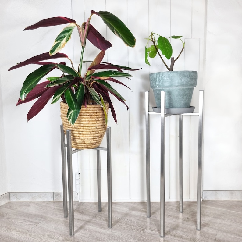 May include: Two silver plant stands with two potted plants. The plant on the left is a green and red tropical plant in a woven basket. The plant on the right is a green plant in a gray ceramic pot.