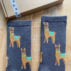 May include: Two dark grey socks with a repeating pattern of brown llamas with turquoise blankets. The socks are displayed on a wooden surface next to a brown box with a paw print ribbon.