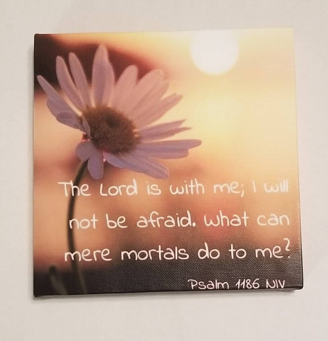 Sunset Daisy Psalm 118 6 NIV Etsy sunset-daisy-psalm-118-6-niv-etsy