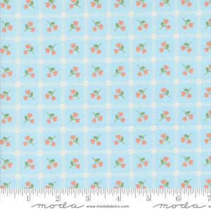 Dainty Meadow Sky 31742 22 Moda #1 by Heather Briggs for Moda Fabrics