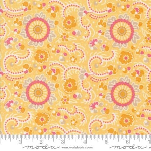 Sunday Brunch Mimosa 30751 17 Moda #1 by Basic Grey for Moda Fabrics