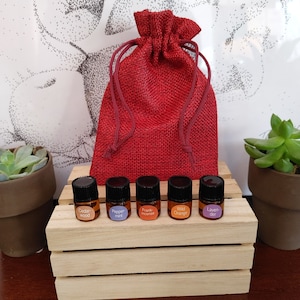 Seasonal Support Essential Oil Kit
