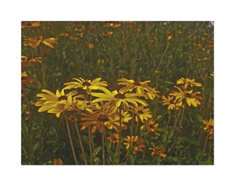 Nature Photography Canvas Art : Mother Nature's Painted Flowers