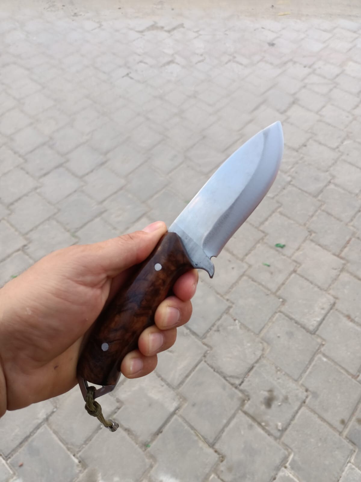 AXARQUIA Full Tang Coltello da sopravvivenza Bushcraft Caccia Pesca