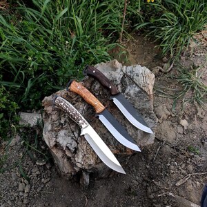May include: Three knives with varying handle designs rest on a tree stump. The knives feature silver blades and handles crafted from wood and antler. The blades are sharp, and the handles showcase intricate detailing.