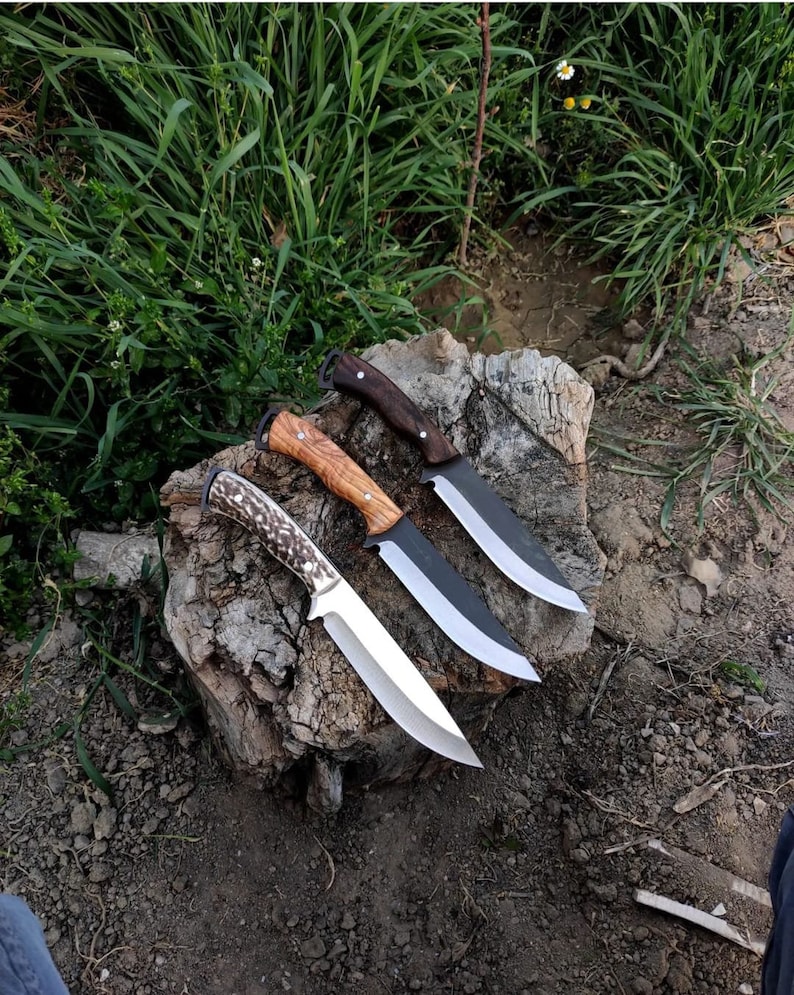May include: Three knives with varying handle designs rest on a tree stump. The knives feature silver blades and handles crafted from wood and antler. The blades are sharp, and the handles showcase intricate detailing.