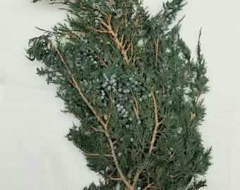 Preserved Juniper, Juniper Leaves, Juniper Garland, Preserved Greens, Winter Greenery, Dried Flowers, DIY Garland, Winter Wedding Flowers