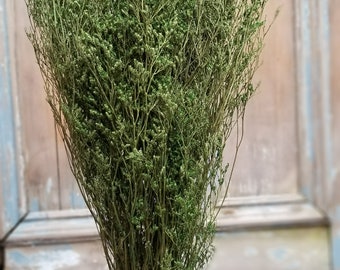 Green Preserved Caspia, Dried Florals for Bouquets, Light Green Caspia, Vase Arrangements, Floral Fillers, Wreath Making, Green Flowers