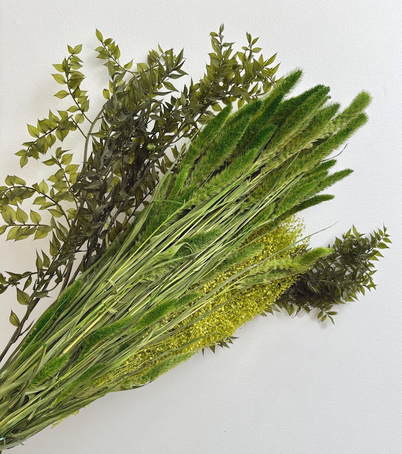 Ruscus Fillers Preserved Ruscus, Green Ruscus, Preserved Greenery, Vase Filler, Vase ...