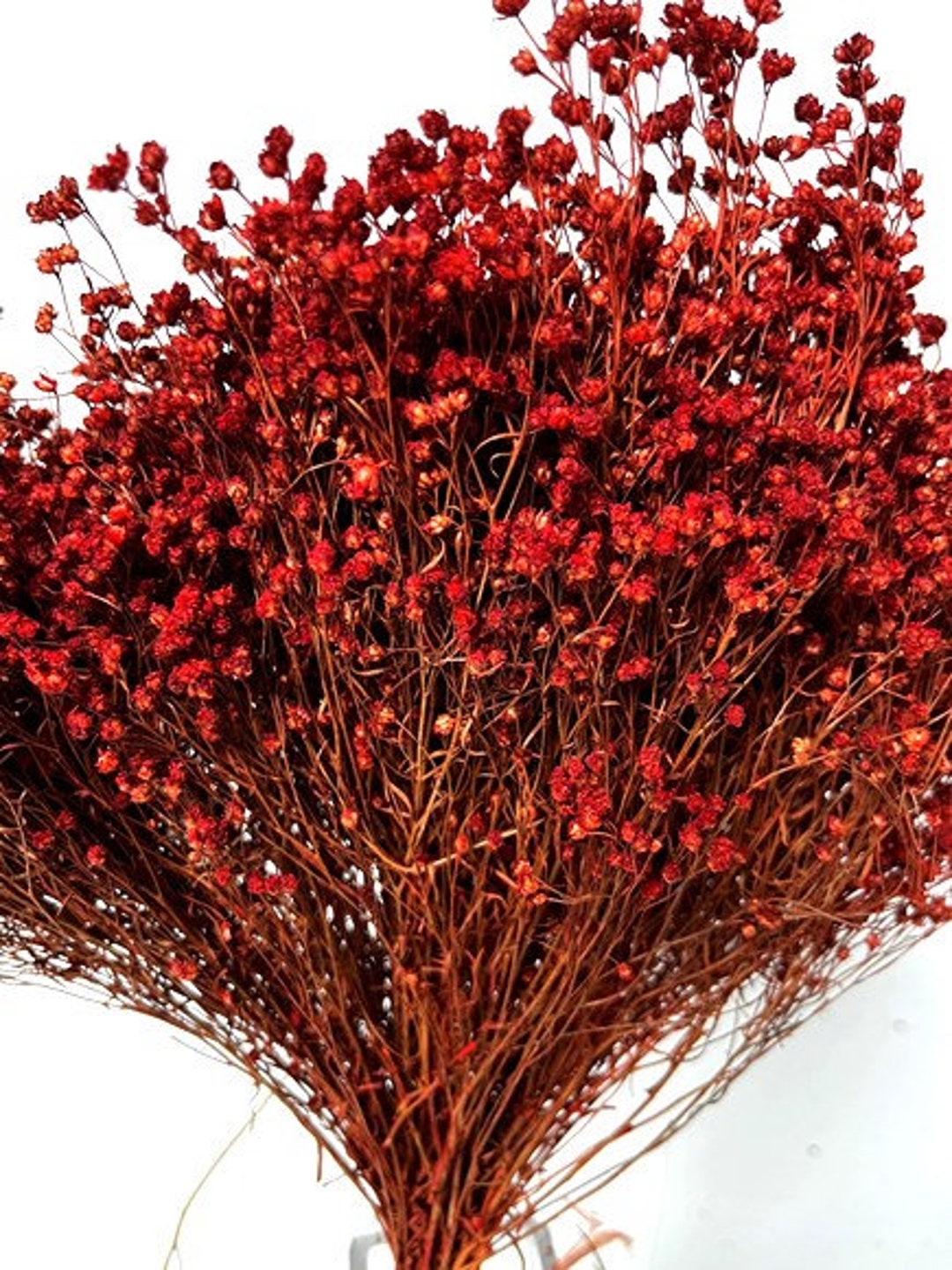 17 Red Broom Bloom, Dried Broom Bloom, Valentines Day Floral Filler