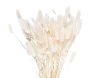 White Bunny Tails 16",  Lagurus Grass White, Dried Flower, Valentines Day Flowers, Easter Decorations, Wedding florals, Bridal Bouquet, Boho