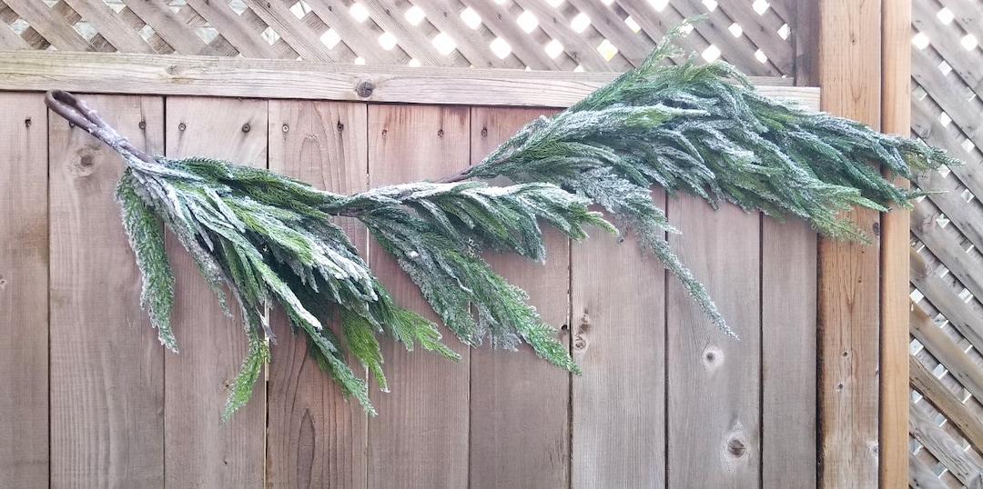Norfolk Pine Garland 41, Garland for Door Frame, Garland for Mirror