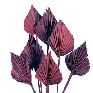 Petites pointes de palmier bordeaux, décoration de mariage, décoration bohème, fleurs séchées, palmiers séchés, fleurs printanières, maison minimaliste, décoration séchée
