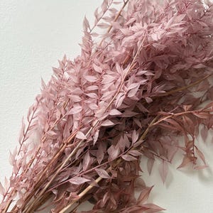 Preserved Dusty Rose Ruscus, Pink Italian Ruscus, Preserved Greenery, Wedding Greenery, Natural Foliage, Floral Supplies, Floral Arrangement