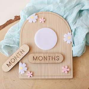 Set di dischi per pietre miliari del bambino / pietre miliari cancellabili a secco / Regalo per neonato / Regalo per baby shower / Oggetti di scena per foto sui social media per bambini / Pietre miliari mensili
