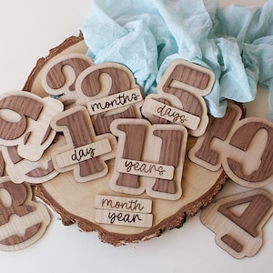 Set de discos de hitos del bebé / Tarjetas de hitos "Hola Mundo" / Regalo para recién nacidos / Regalo para baby shower / Accesorios fotográficos para redes sociales de bebés / Hitos mensuales