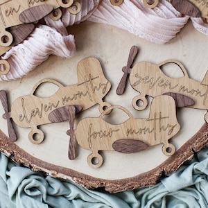 Baby mijlpaalschijfset | Hallo wereld mijlpaalkaarten | Cadeau voor pasgeborenen | Kraamcadeau | Baby sociale media foto rekwisieten | Maandelijkse mijlpalen