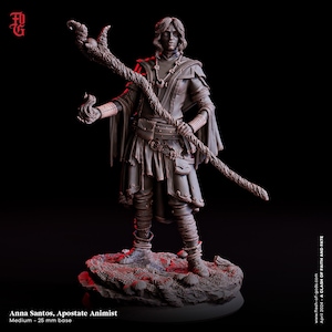 May include: A detailed miniature figurine of a female character with long dark hair, wearing a dark brown hooded robe and holding a staff with a twisted branch. The figurine is standing on a rocky base.