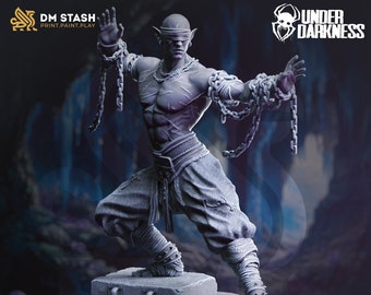 DnD | Pathfinder | TTRPG  Uxas Vergos - The Awakened Monk Male Elf Monk | Fighter | Brawler Unpainted Miniature