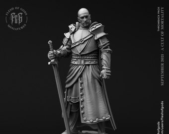 Dnd - Pathfinder - Paladín humano masculino - Miniatura sin pintar