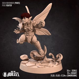 May include: A detailed figurine of a pixie fighter, with large wings and intricate armor. The figure is in a dynamic pose, set on a textured base. The text "2024 NOVEMBER (PIXIES) PIXIE FIGHTER" is visible. Dimensions are 2.15 x 3.10 x 1.73 cm.