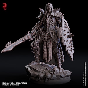 DnD Hero - Mael Shadowfang Male Paladin - Fighter - Warrior Unpainted Miniature