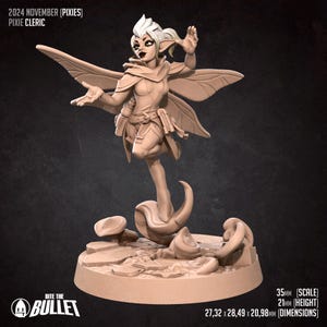 May include: A 35mm scale miniature figurine of a pixie cleric with wings, wearing a hooded tunic and holding a staff. The figurine is standing on a mushroom-shaped base.
