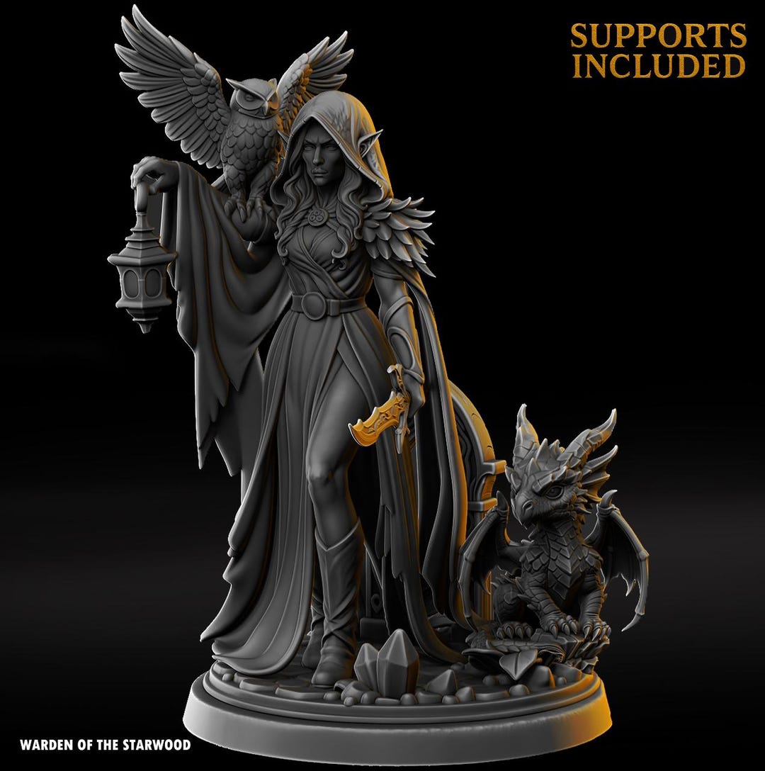 Dnd Lunara Windmane, Elf Beastmaster Sorcerer, Warlock, Sorlock, Druid ...