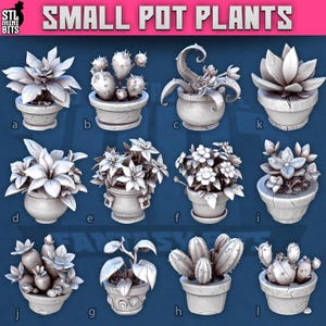 Op de afbeelding: Een verzameling kleine potplanten, elk met een uniek ontwerp. De afbeelding toont verschillende soorten planten, waaronder vetplanten en cactussen, in decoratieve potten. De tekst "SMALL POT PLANTS" staat bovenaan.