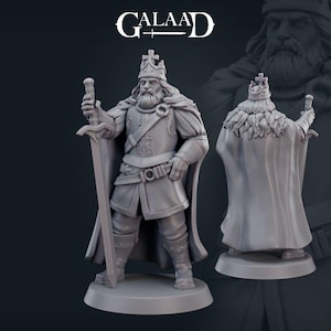 DnD | Pathfinder | TTRPG Male Human King | Noble | NPC Unpainted Miniature