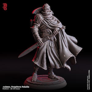 DnD | Pathfinder | TTRPG Hjälte - Animus, Forgeborn Paladin Manlig Warforged Paladin | Kämpe | Krigare Omålad Miniatyr