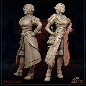 DnD | Pathfinder | TTRPG Female Elf Lunara - Rogue | Bard | Fighter | Adventurer Unpainted Miniature