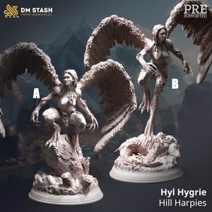 DnD Harpies | Hyl Hygrie the Hill Harpies Unpainted Miniature