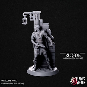 DnD | Pathfinder | TTRPG Male Human Rogue | Thief  | Assassin Unpainted Miniature
