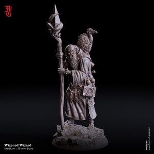 DnD | Pathfinder | TTRPG Hero - Wizened Wizard | Sorcerer | Druid | Mage Unpainted Miniature