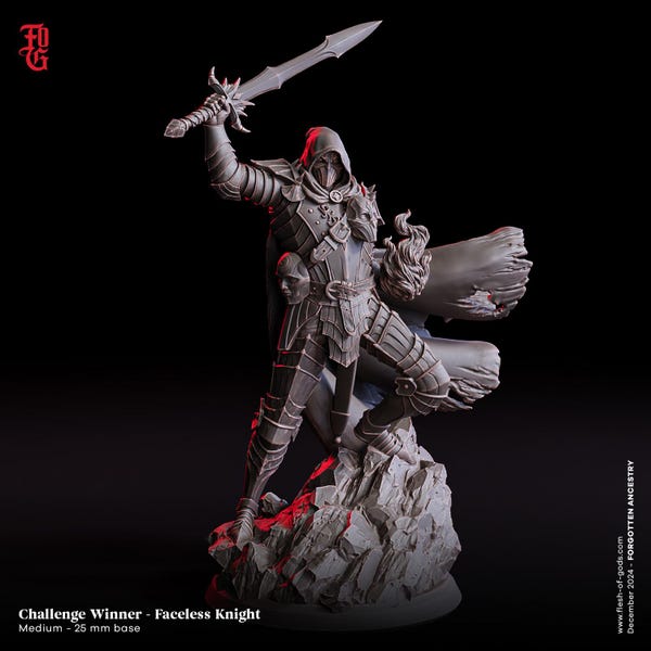DnD | Pathfinder | TTRPG Hero -  Faceless Knight Male Human Paladin | Rogue | Fighter Unpainted Miniature