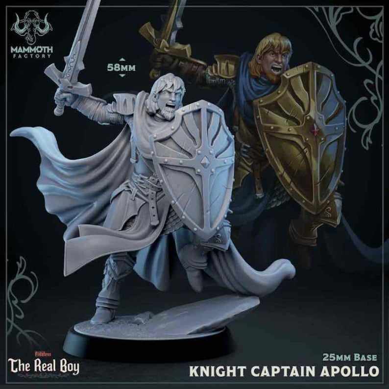 Dnd | Pathfinder | TTRPG Hero - Apollo, Knight Captain Male Human ...