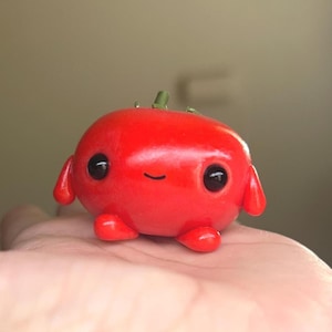 Pet Tomato, comes with Adoption certificate