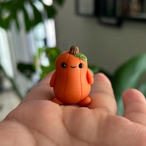 May include: A small, orange pumpkin figurine with a green leaf on top and a smiling face. The figurine is made of clay and is sitting on a person's hand.