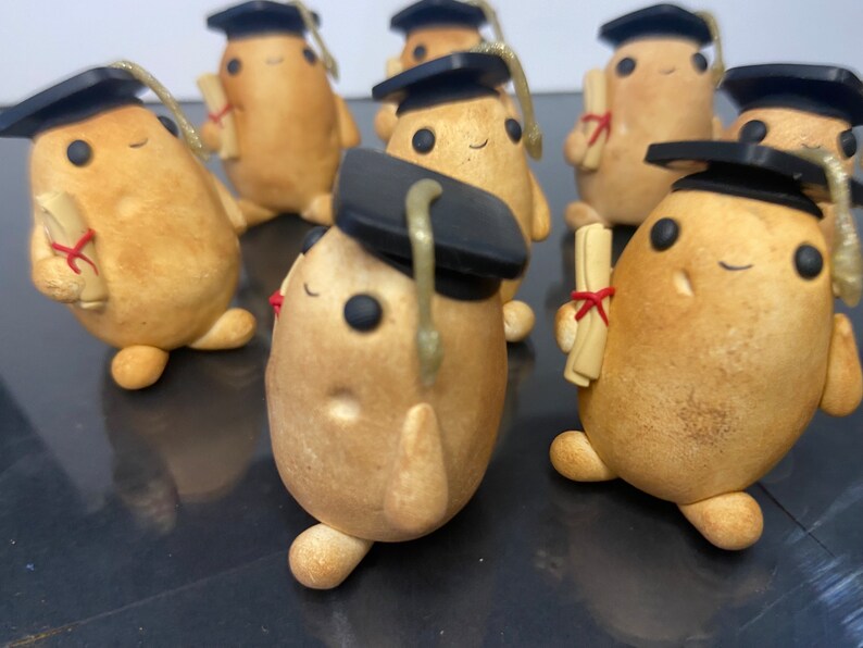 Graduation Potato Graduated Potato. Limited Editon. Pet Potato, Adopt a Potato. - Etsy UK
