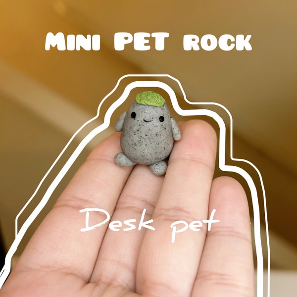Tiny rock, Desk Buddy comes with adoption certificate.