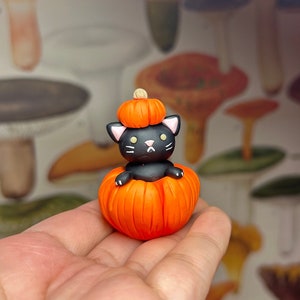 Halloween Cat in Pumpkin Pet