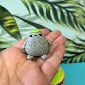 Rock Pet, Comes With Adoption Ireland