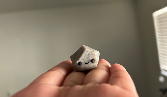 Little Rock, Desk Buddy comes with adoption certificate.