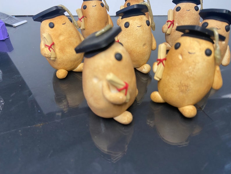 Graduation Potato Graduated Potato. Limited Editon. Pet Potato, Adopt a Potato. - Etsy UK