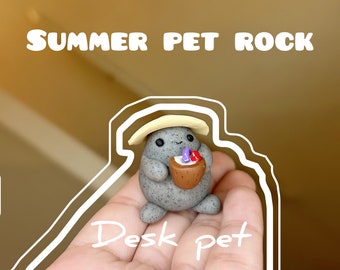 Summer coconut Rock pet. Comes with adoption certificate.