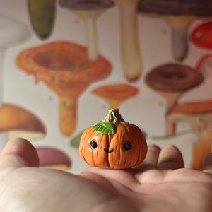Pet Pumpkin, miniature, kawaii. Adopt a pet