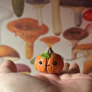 May include: A miniature orange pumpkin ornament with a smiling face and a green leaf. The pumpkin is held in a hand, with a blurred background featuring mushroom illustrations.