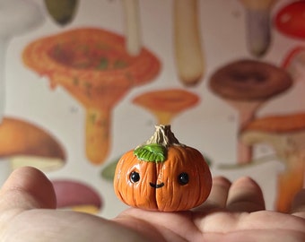 Pet Pumpkin, miniature, kawaii. Adopt a pet