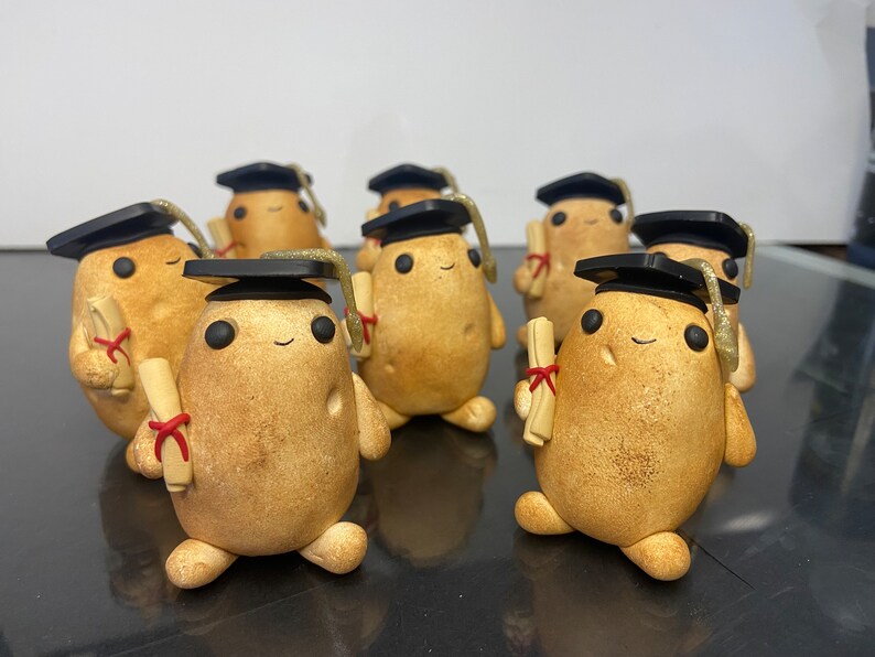 Graduation Potato Graduated Potato. Limited Editon. Pet Potato, Adopt a Potato. - Etsy UK